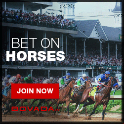 Bovada Racebook